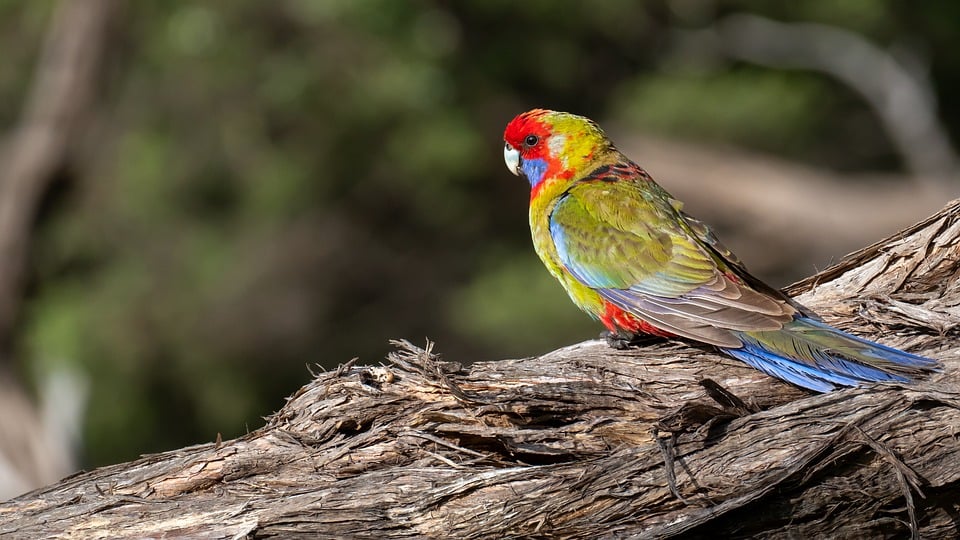 Vegetarian dinner recipes for a quick weeknight meal